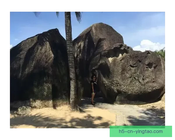 寻味海沧，探秘海角九号：不只网红，更是舌尖上的奇遇